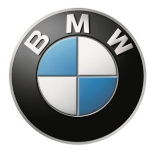 icon BMW EV Car